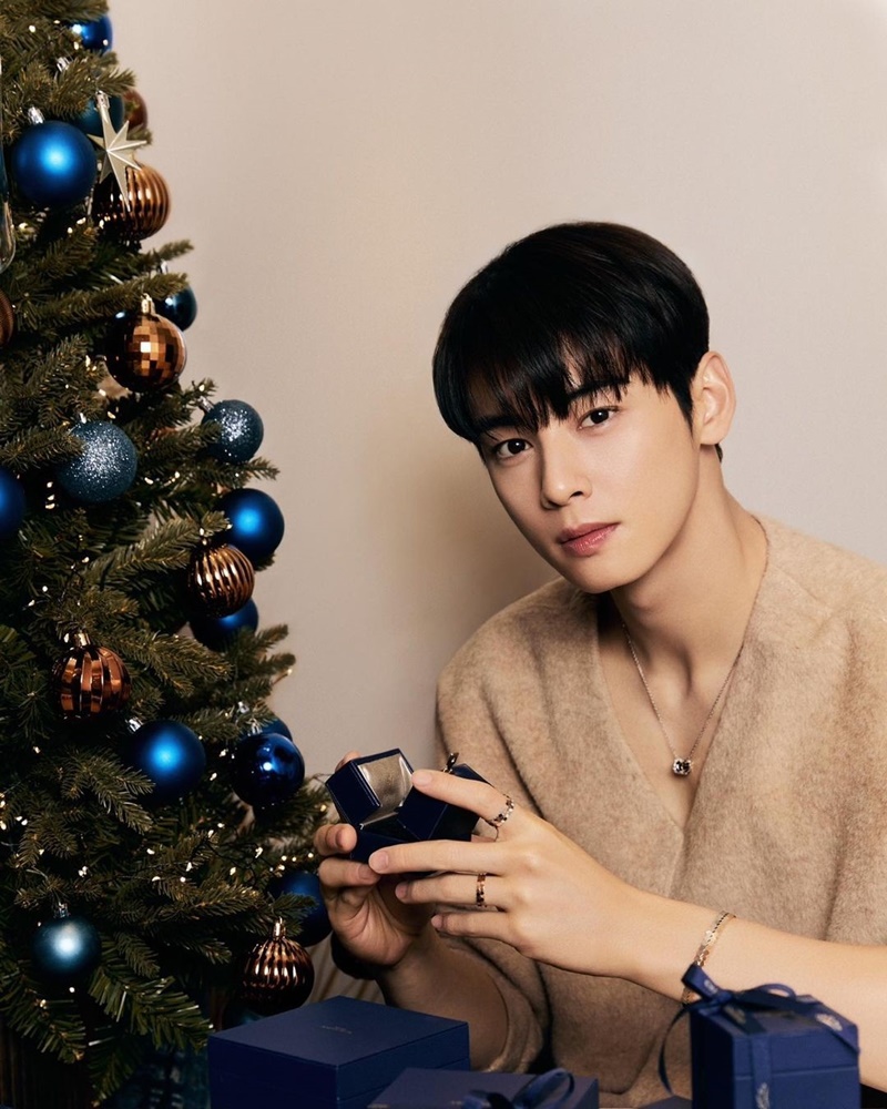 cha eun woo ชาอึนอู