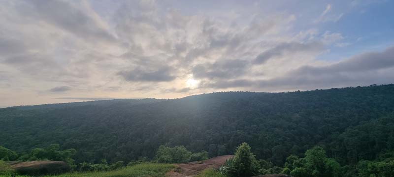 อุทยานแห่งชาติภูหินร่องกล้า