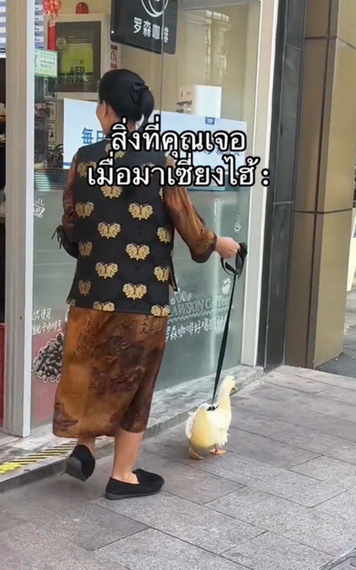 เที่ยวเซี่ยงไฮ้