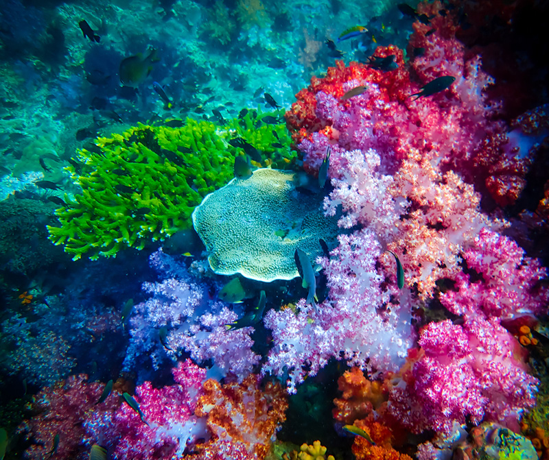 หมู่เกาะตะรุเตา หลีเป๊ะ จังหวัดสตูล