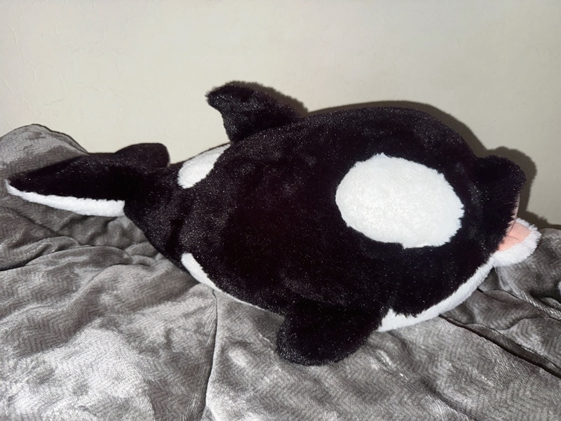 มิโซระ ซุย