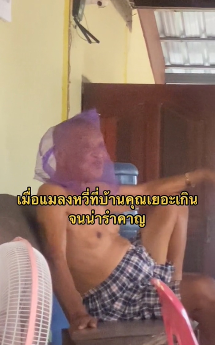 แมลงหวี่