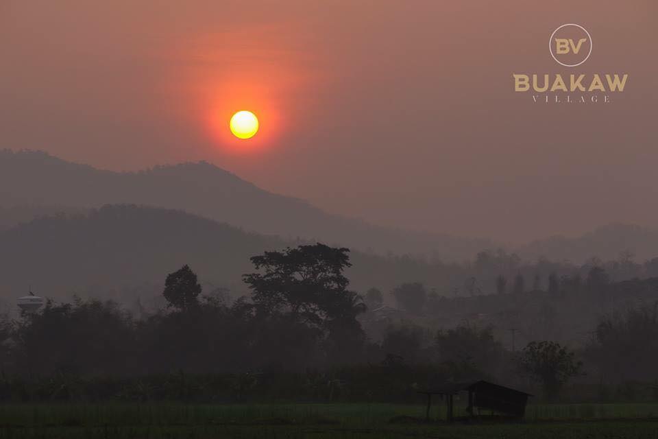 บัวขาว วิลเลจ