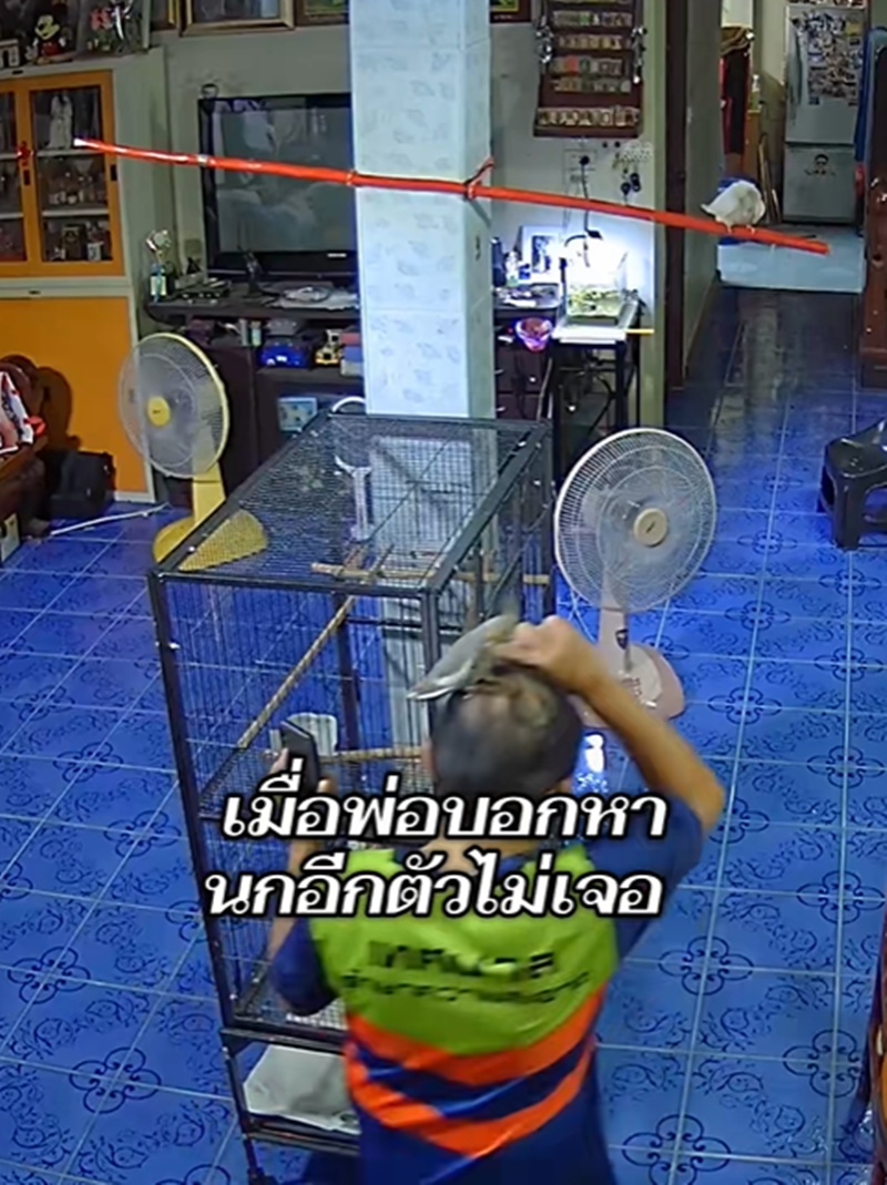 ตามหานก