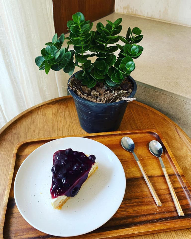 ร้านชาเขียว 