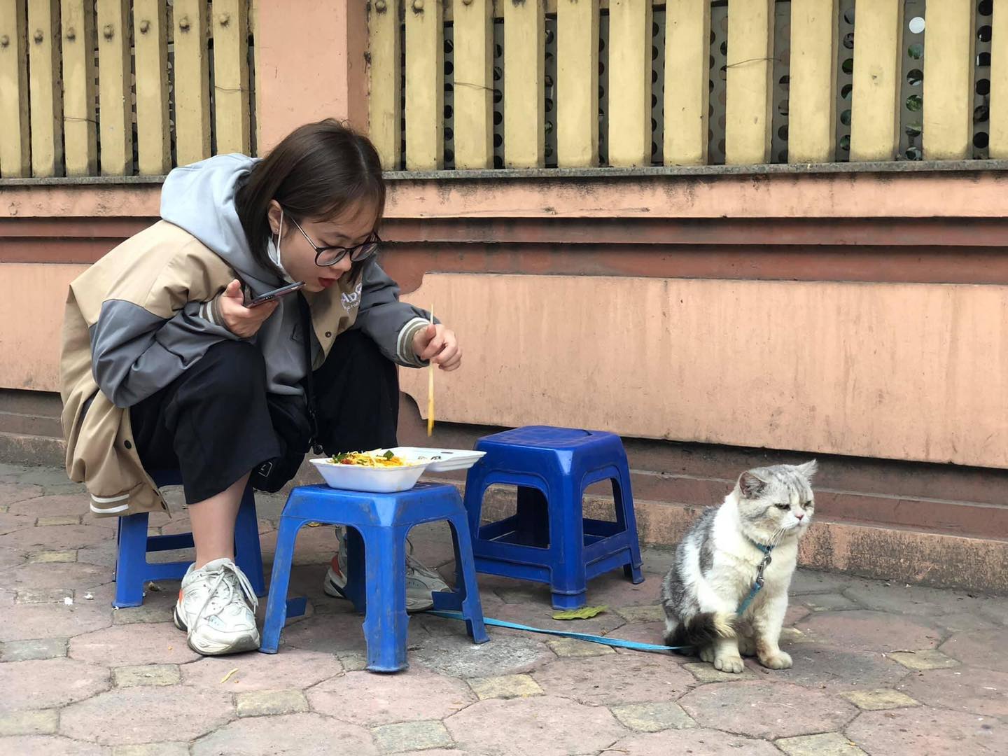 แมวเซ็ง