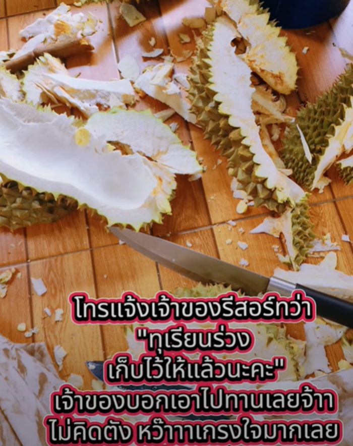 นอนรีสอร์ต