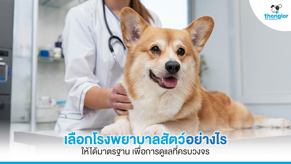 โรงพยาบาลสัตว์