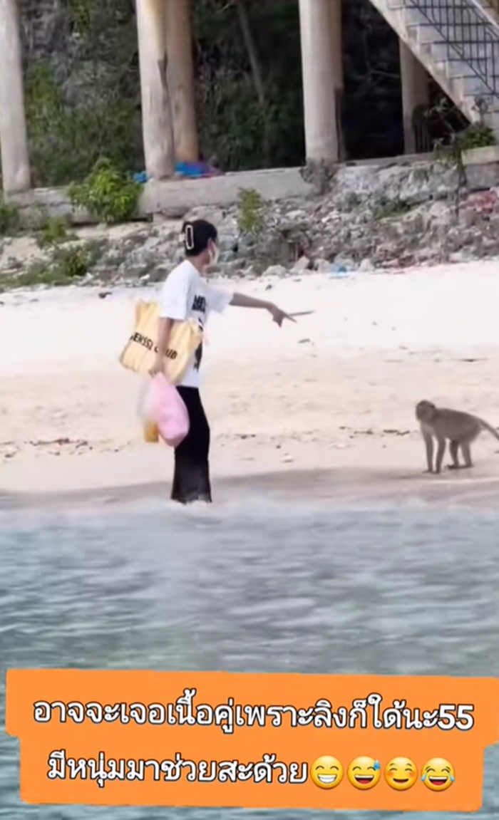 ลิงป่วน