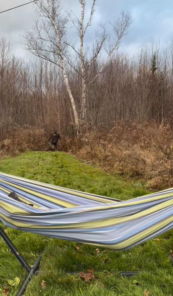 นอนเล่น