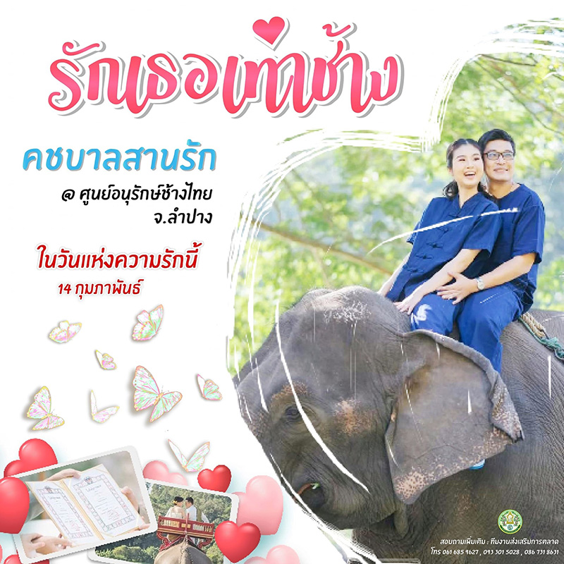 ศูนย์อนุรักษ์ช้างไทย จังหวัดลำปาง