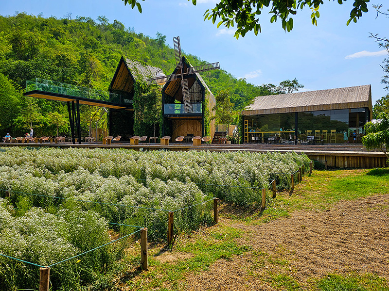 ร้านคาเฟ่ ธรรมชาติ