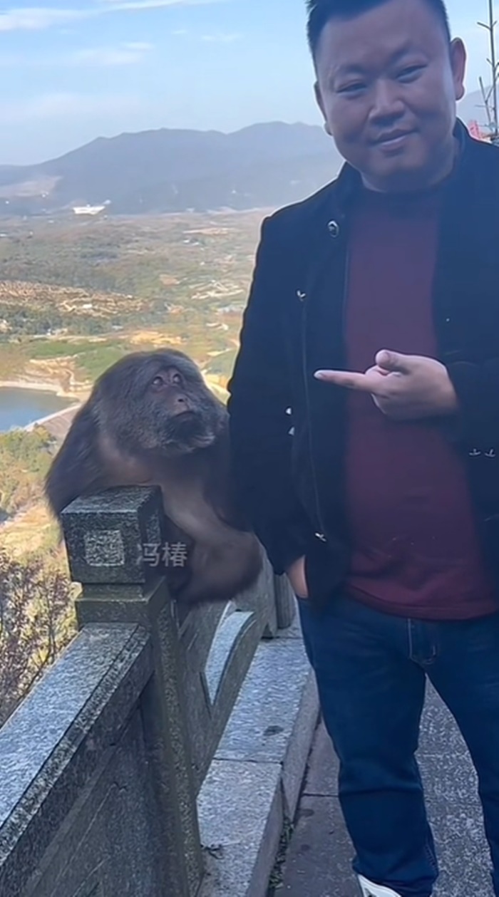 ลิงแกล้งคน