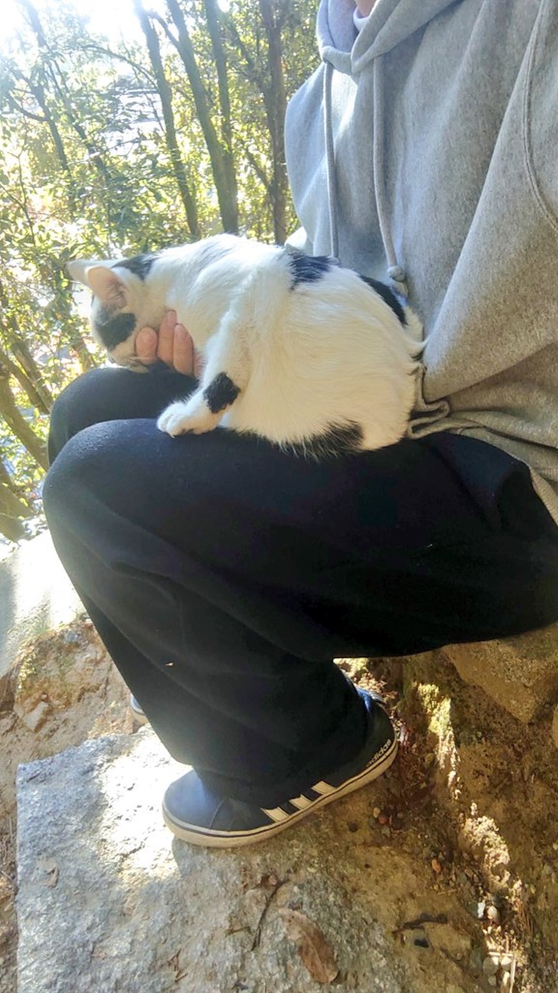 ไหว้ขอพร