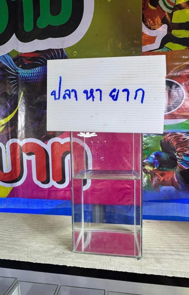 ปลาหายาก