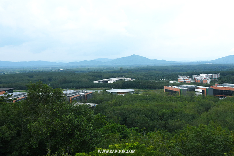 ป่าวังจันทร์