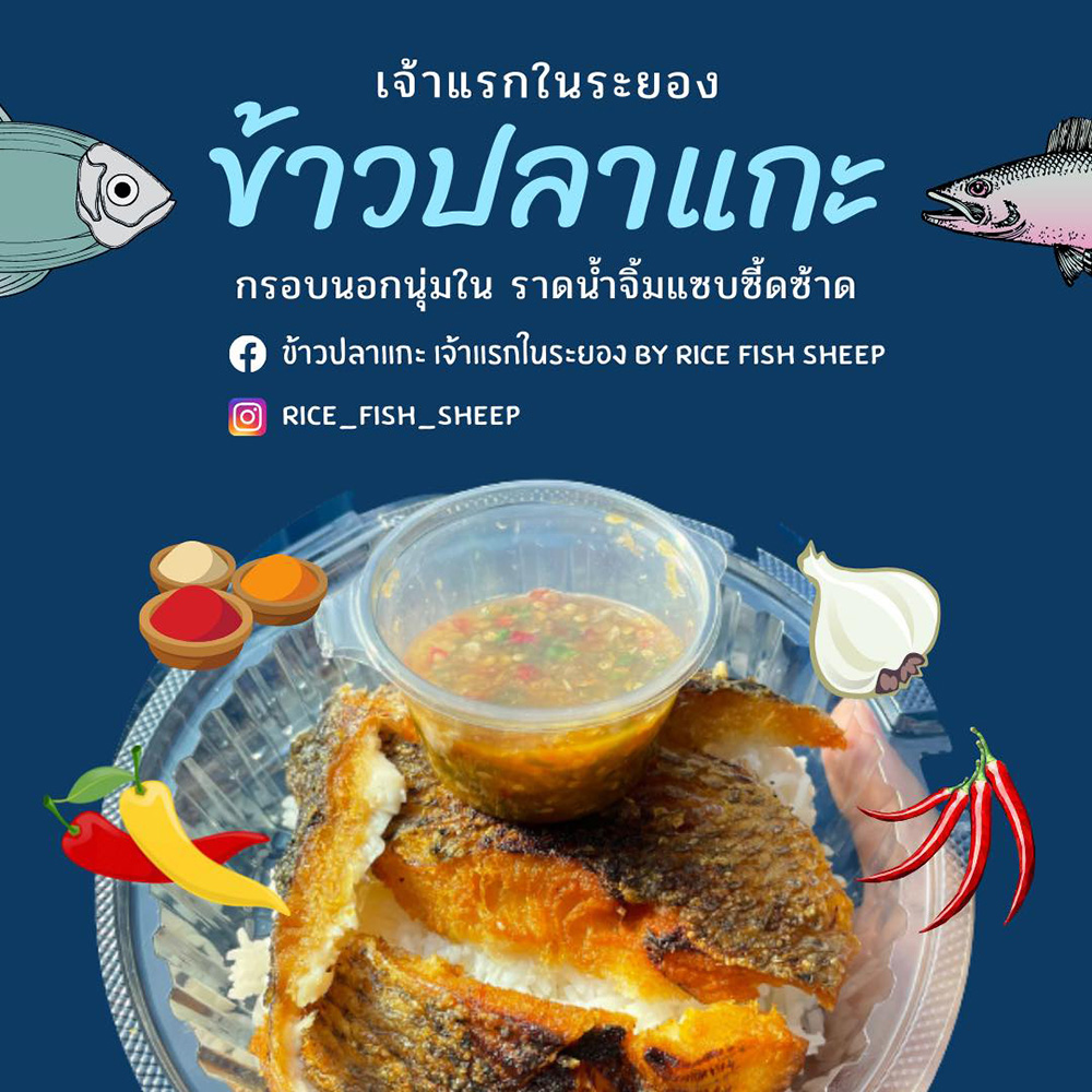 ข้าวปลาแกะ