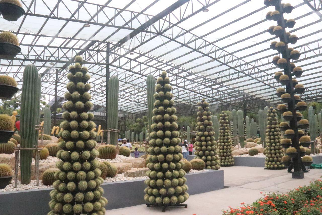 สวนนงนุช พัทยา