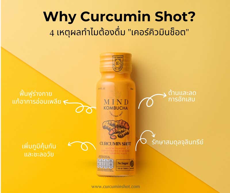 คอมบูชา