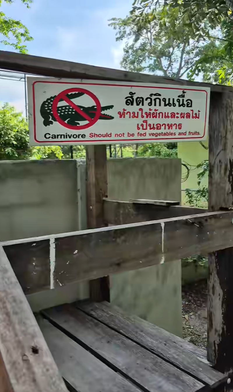 จระเข้