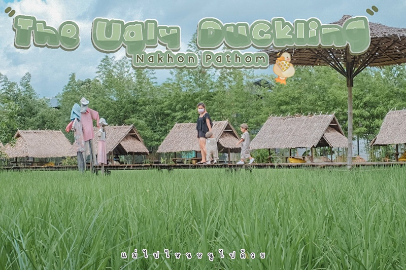 The Ugly Duckling Learning Farm