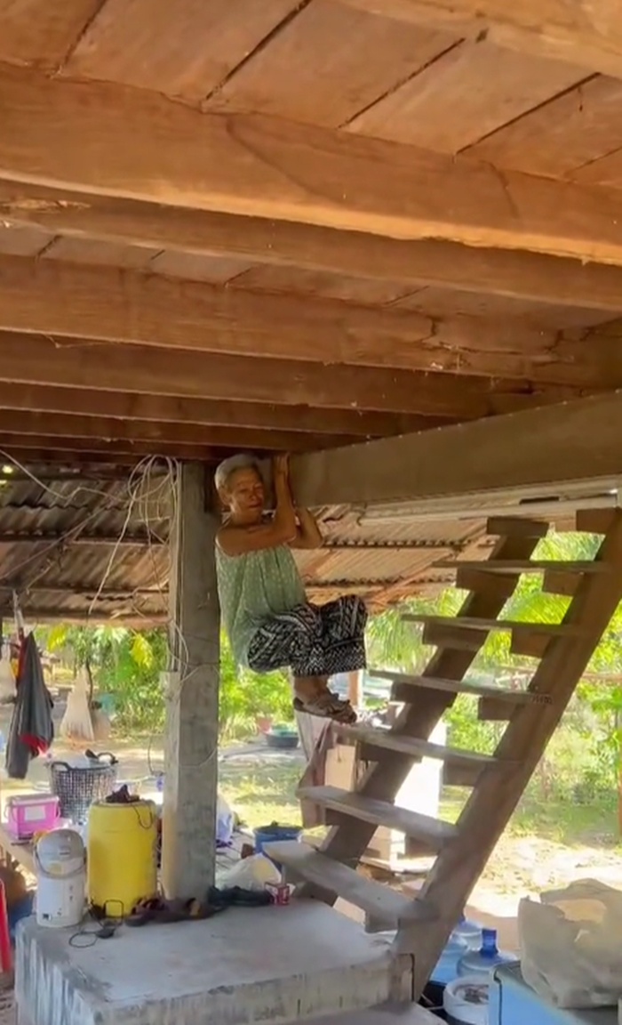 งูเข้าบ้าน