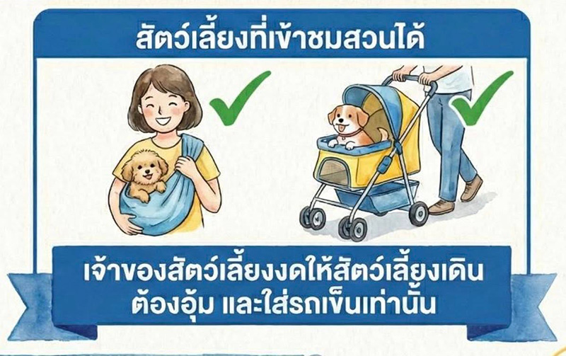 ทุ่งสวรรค์ ตะวันฉาย 2568-2569 วัดพระธรรมกาย