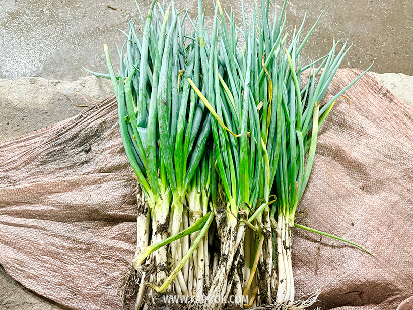 เที่ยวอี๋หลาน ไต้หวัน