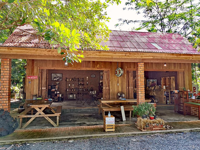 คาเฟ่ในป่า