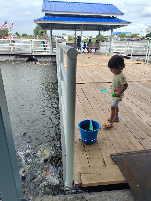 เที่ยวปทุมธานี  