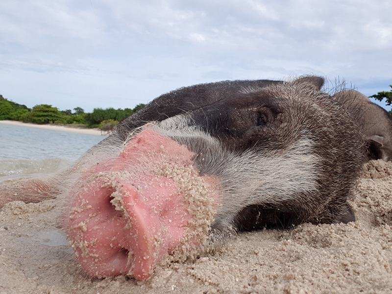 ที่เที่ยววันหยุดยาว