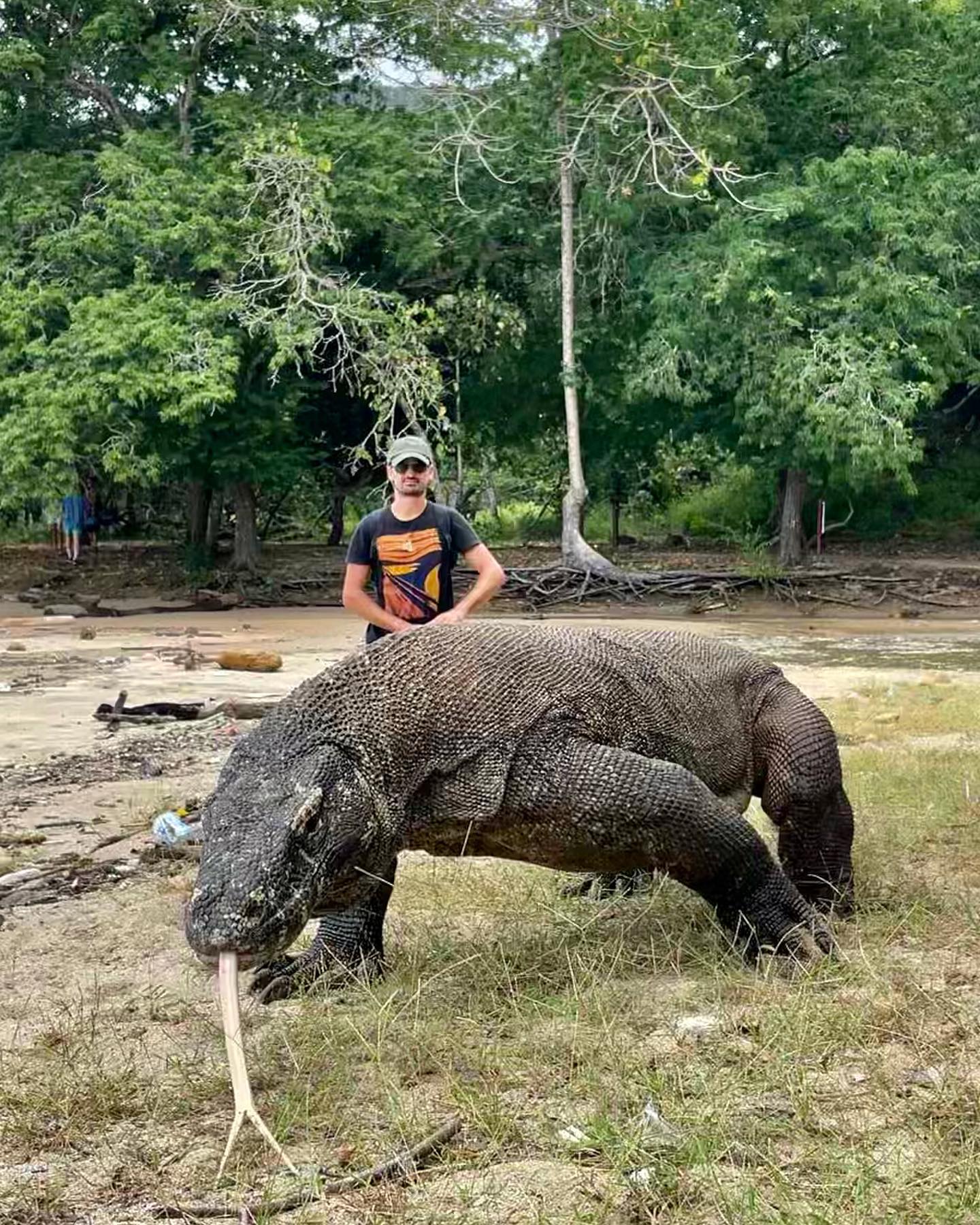 มังกรโคโมโดยักษ์