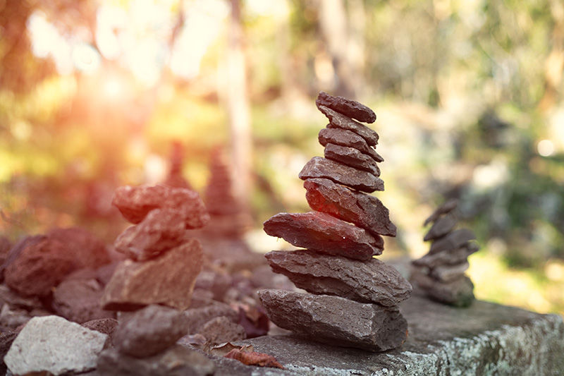 ทำไมไม่ควรเรียงหินในป่า