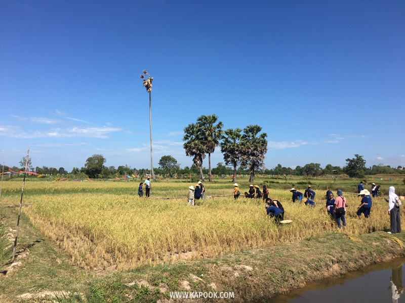 เที่ยวพัทยาเส้นทางใหม่ชุมชนวิถีเกษตรและวัฒนธรรม