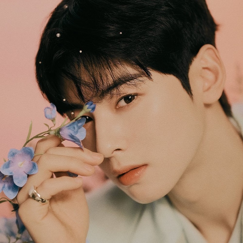 cha eun woo ชาอึนอู