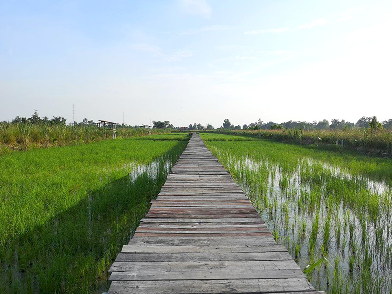 ร้านคาเฟ่กำแพงเพชร