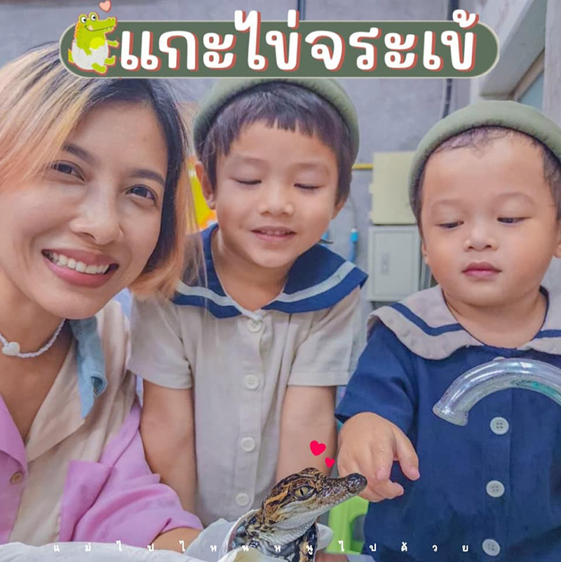 แกะไข่จระเข้