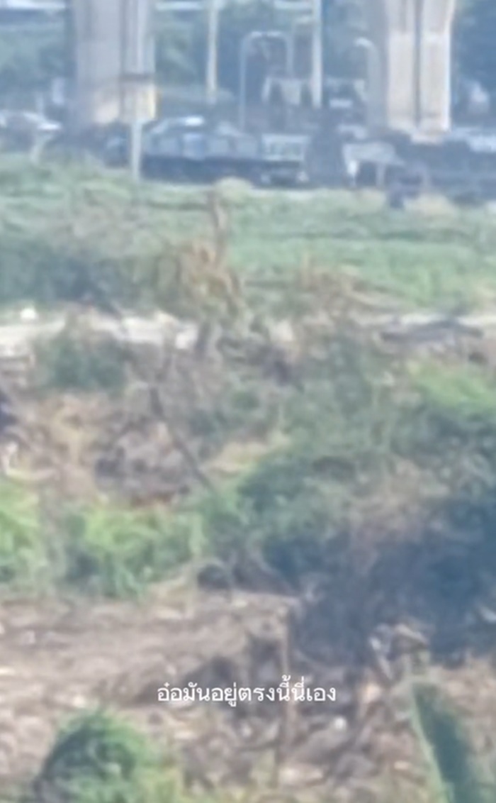 หลวงพี่