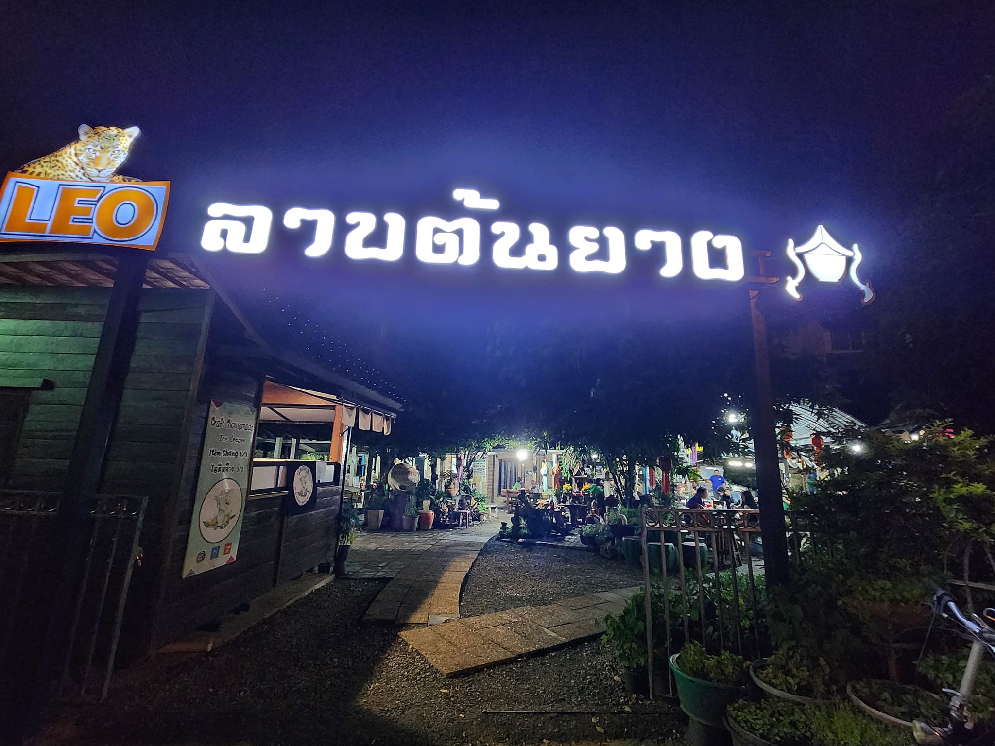 ลาบต้นยาง