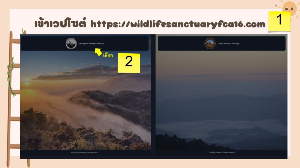 วิธีจองสิทธิ์ ดอยหลวงเชียงดาว 2567 - 2568