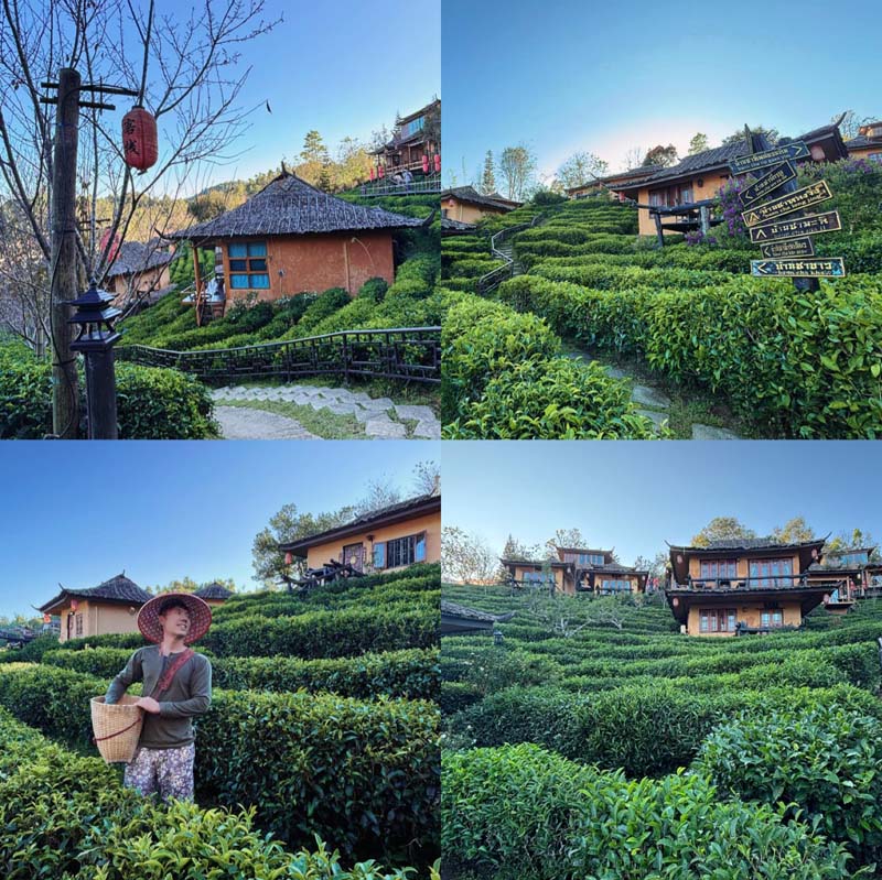 ขับรถเที่ยวเชียงใหม่ แม่ฮ่องสอน