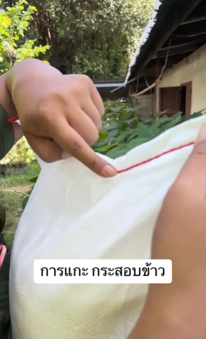 แกะกระสอบข้าว