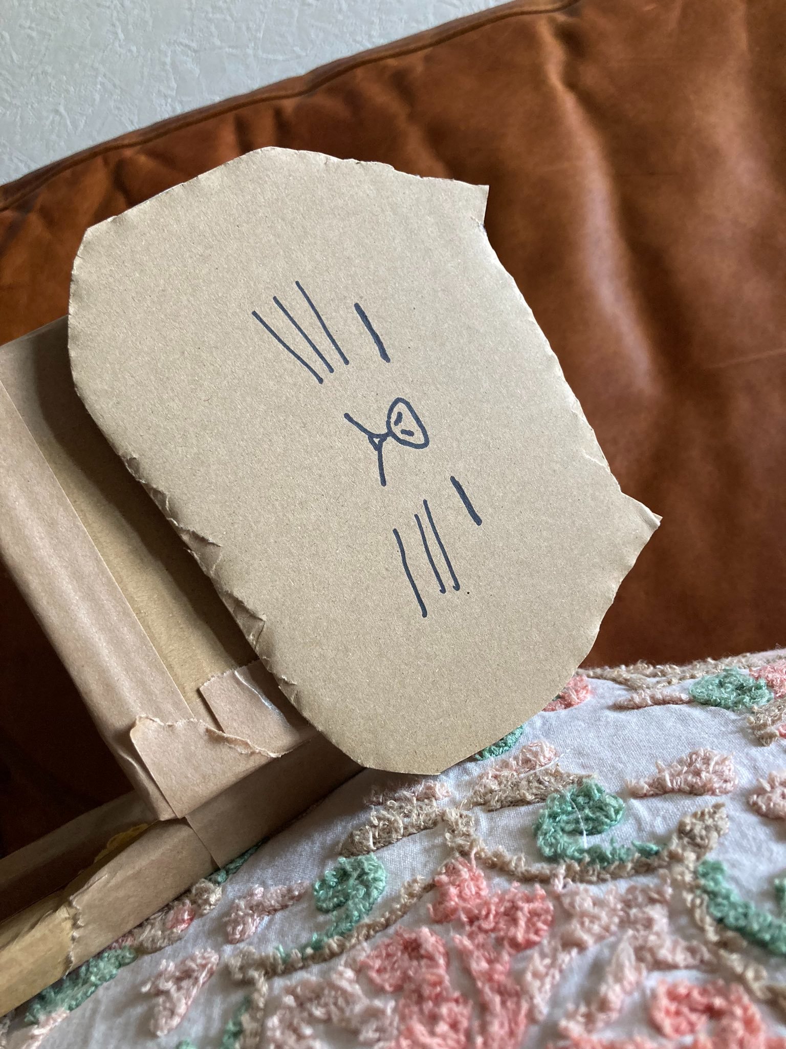 อยากเลี้ยงแมว