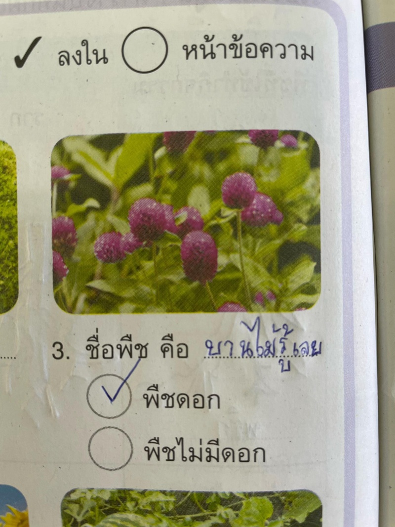 ชื่อพืช