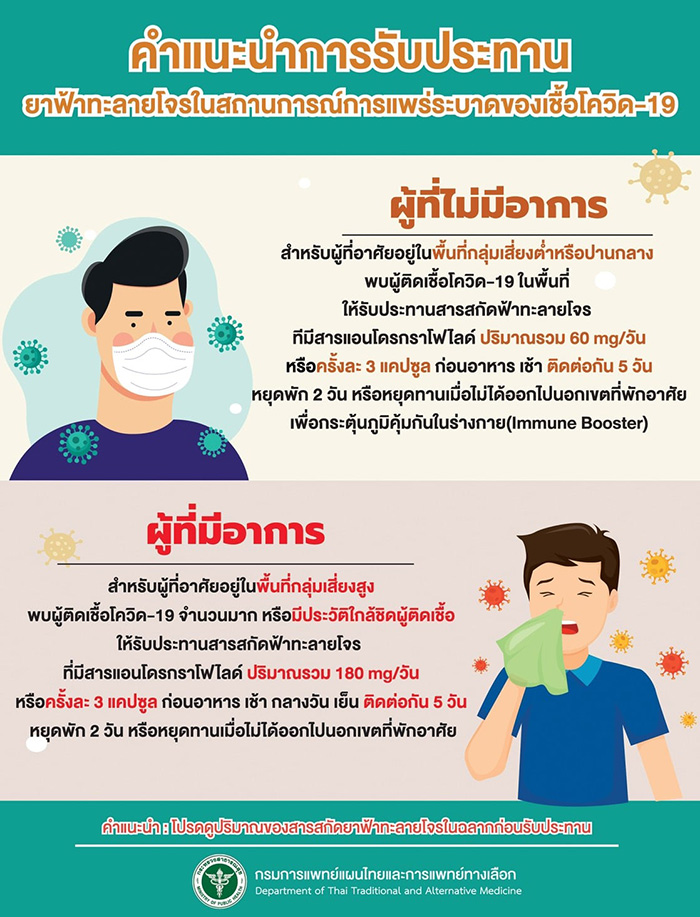 ฟ้าทะลายโจร