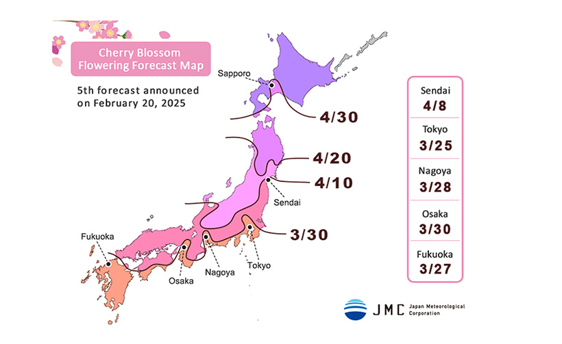 พยากรณ์ซากุระ ญี่ปุ่น 2025 ล่าสุด