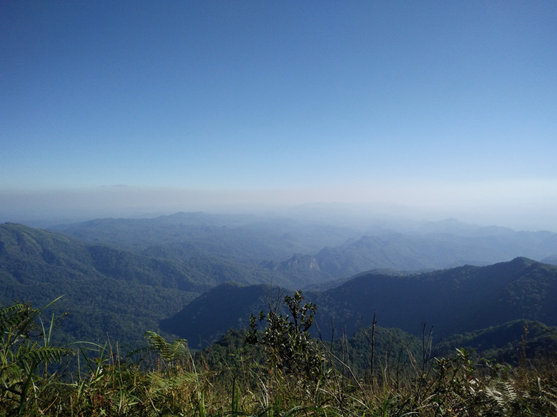 เขตรักษาพันธุ์สัตว์ป่าทุ่งใหญ่-ห้วยขาแข้ง