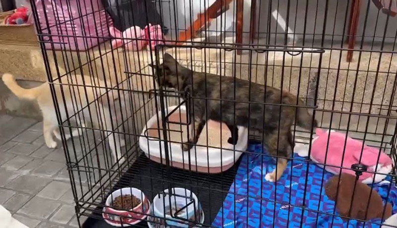  สรยุทธ สุทัศนะจินดา เล่าโมเมนต์ จอห์น เลอา เผชิญหน้า โดนแซว ไม่เลี้ยง แต่อยู่บ้านแล้ว