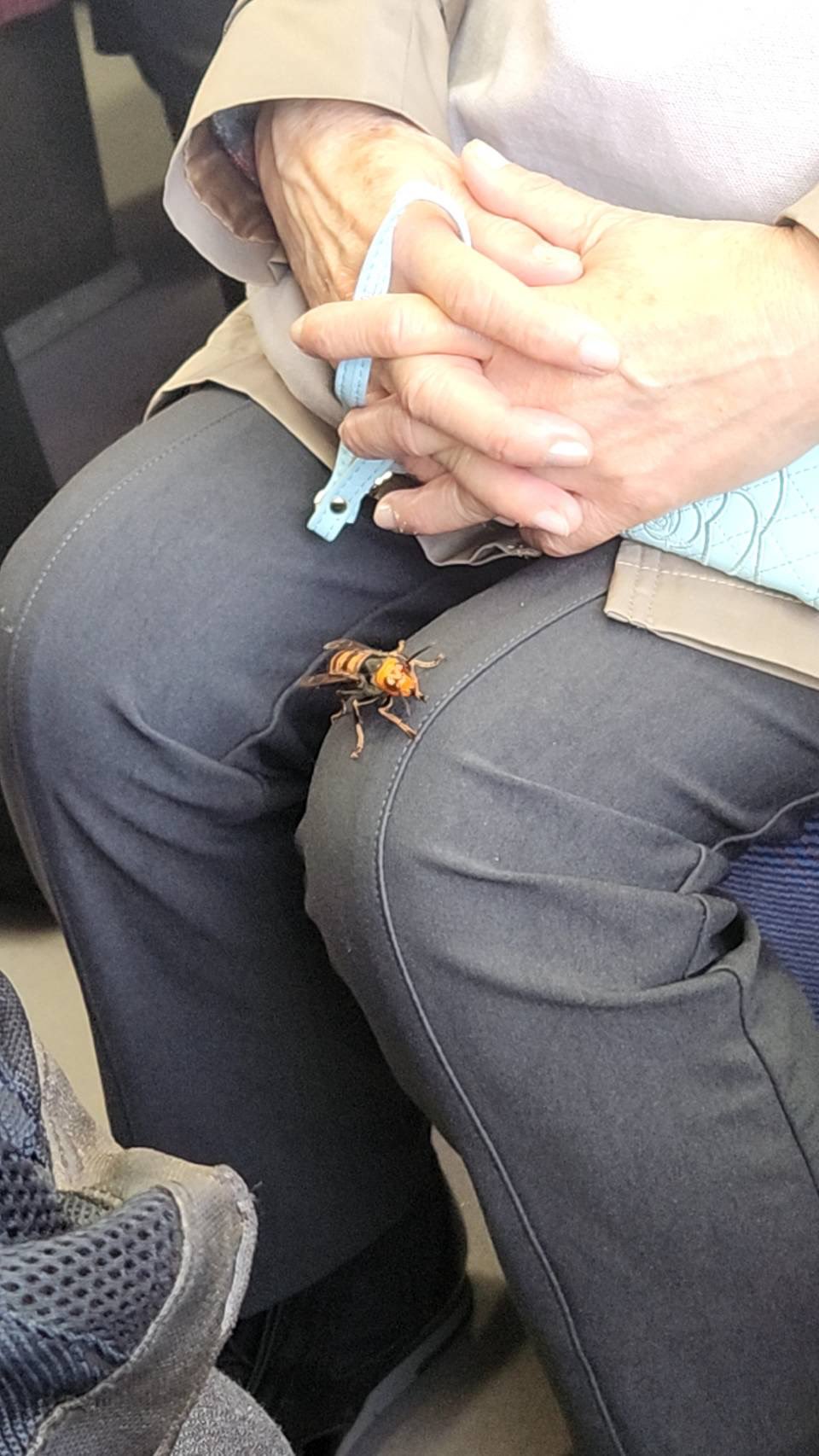 ต่อหัวเสือ