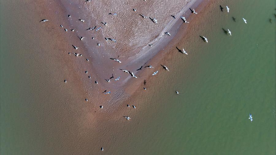 แม่น้ำเหลือง